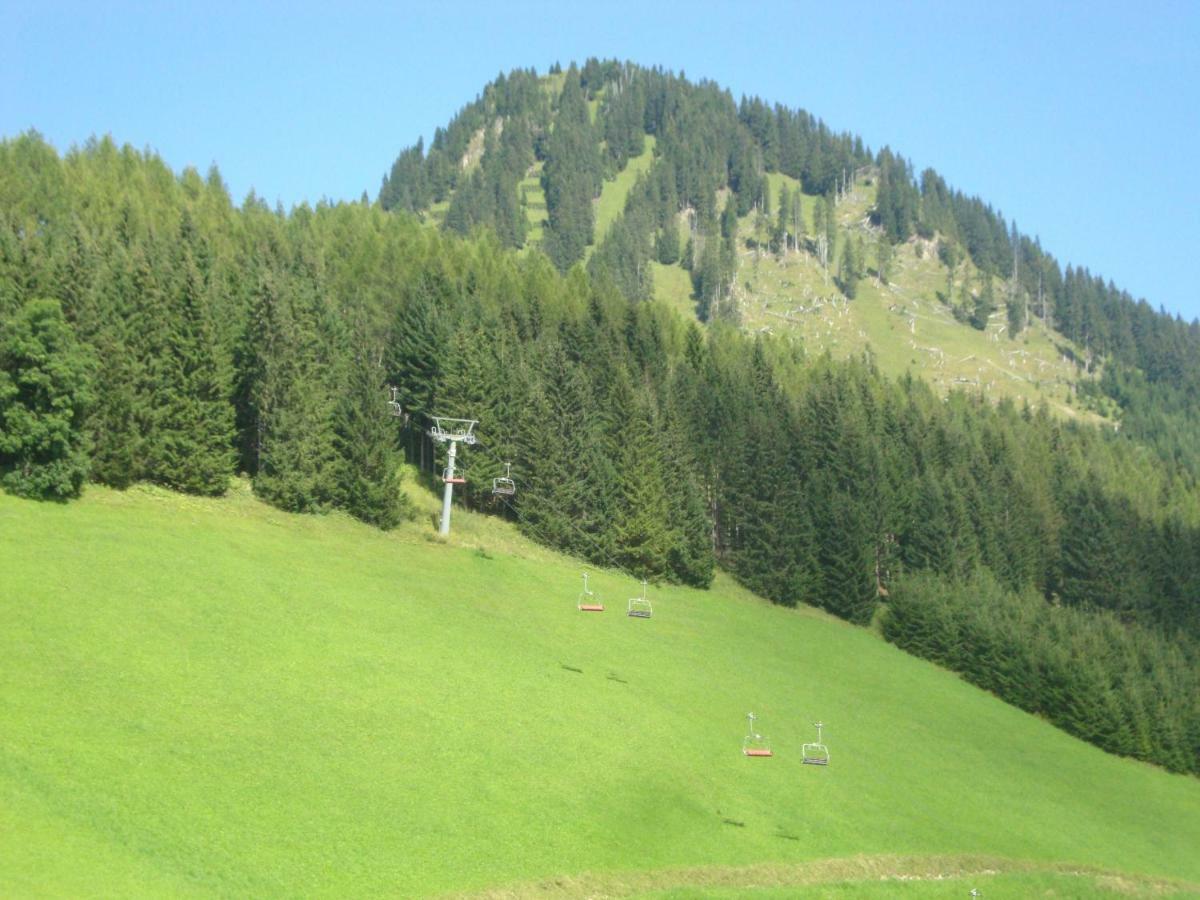 Berwang Chalets - Enzian エクステリア 写真